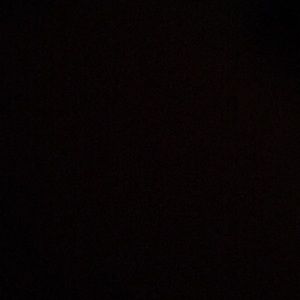 Meet your Posher, Bryan